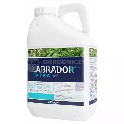 Labrador Extra 50 EC 5L (Leopard) na chwasty jednoliścienne