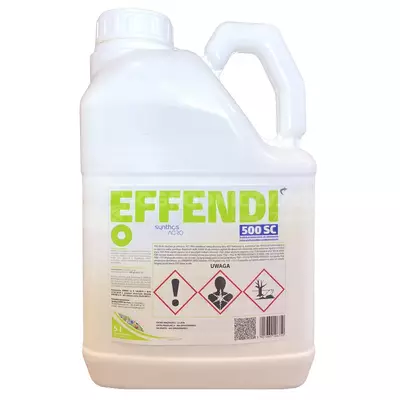Effendi 500SC 5L SYNTHOS AGRO metazachlor, zwalcza chwasty dwuliścienne w rzepaku, bodziszek, przytulia